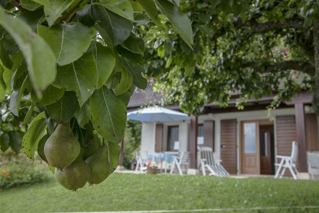 I Borghi Della Schiara - Borgo Talvena Hotel Belluno Exterior foto