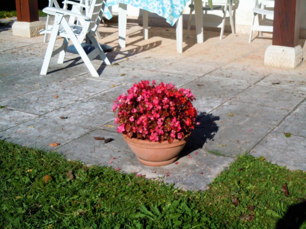 I Borghi Della Schiara - Borgo Talvena Hotel Belluno Exterior foto