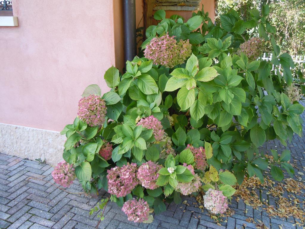 I Borghi Della Schiara - Borgo Talvena Hotel Belluno Exterior foto